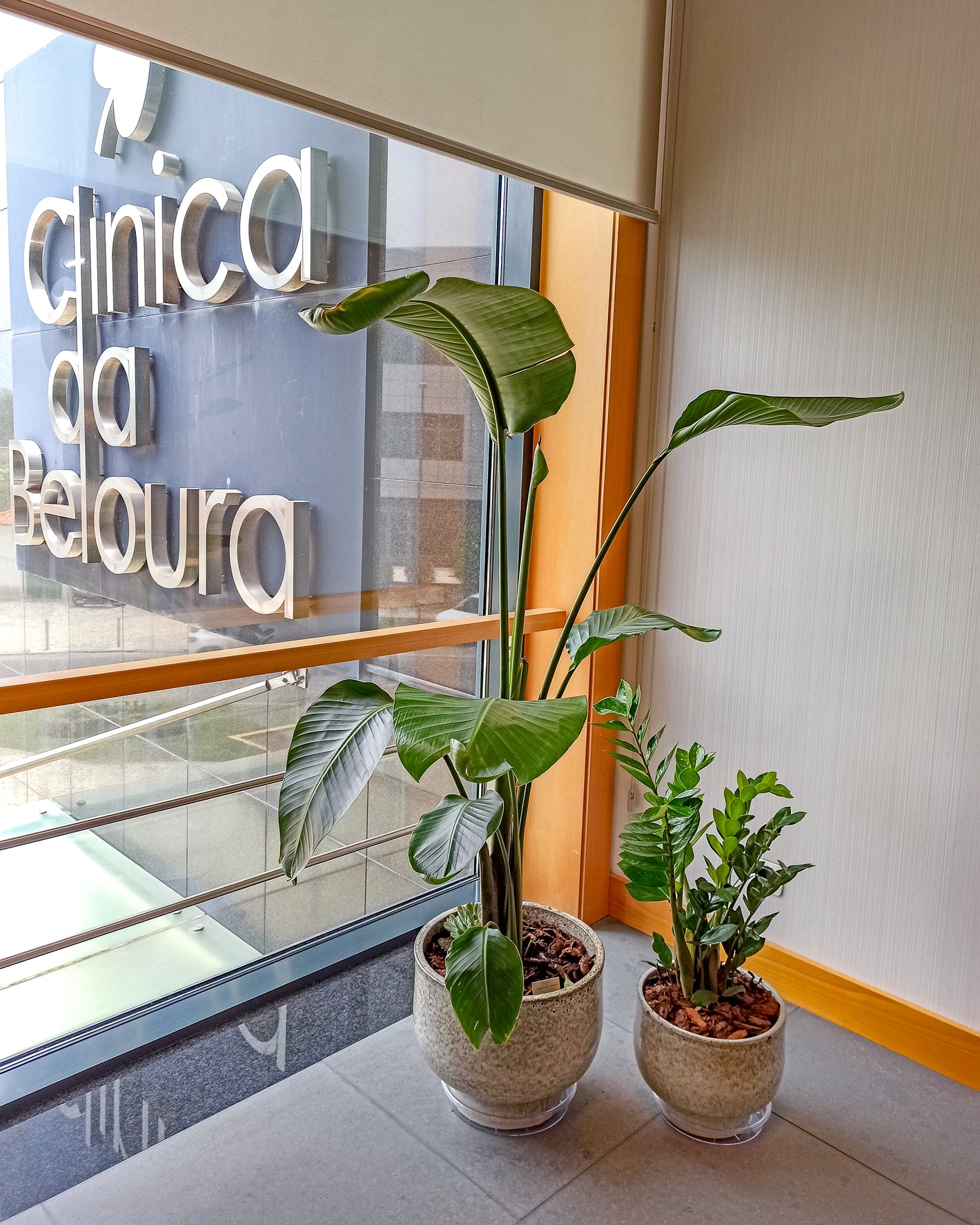 Projeto de Plant Styling e Paisagismo para a Quilaban colocando plantas no escritório