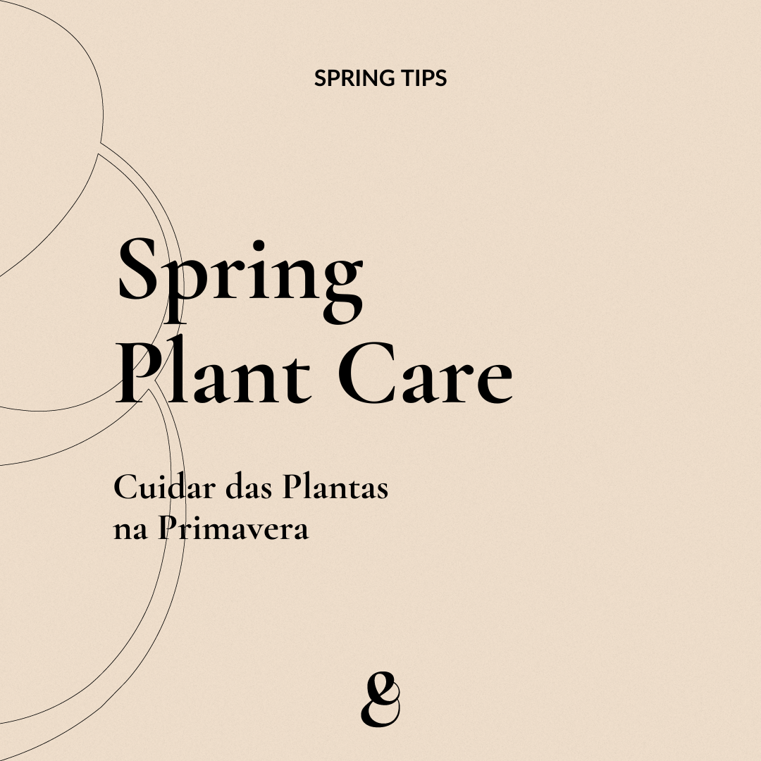Spring Plant Care_Houseplant Checklist